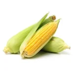steers-corn-on-the-cob